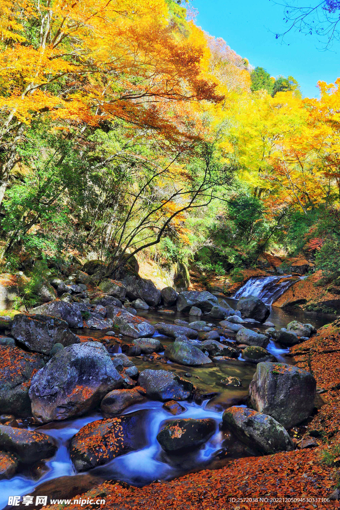 巴中光雾山风光
