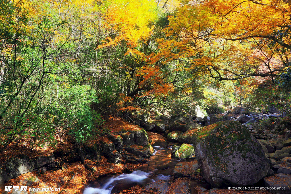 巴中光雾山风光
