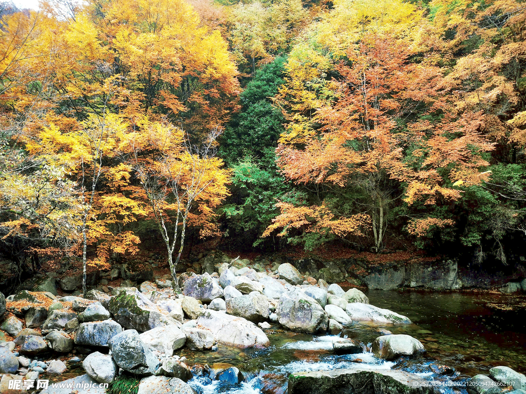 巴中光雾山风光