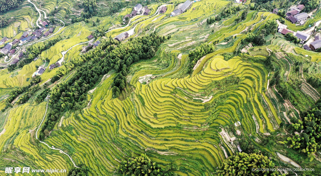 新化紫鹊界梯田