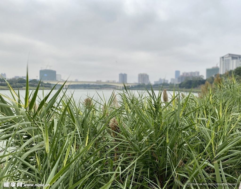 江景