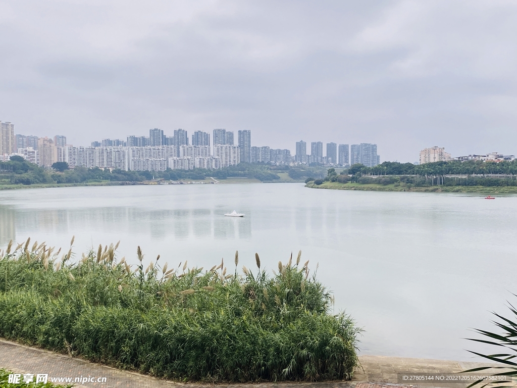 江边风景