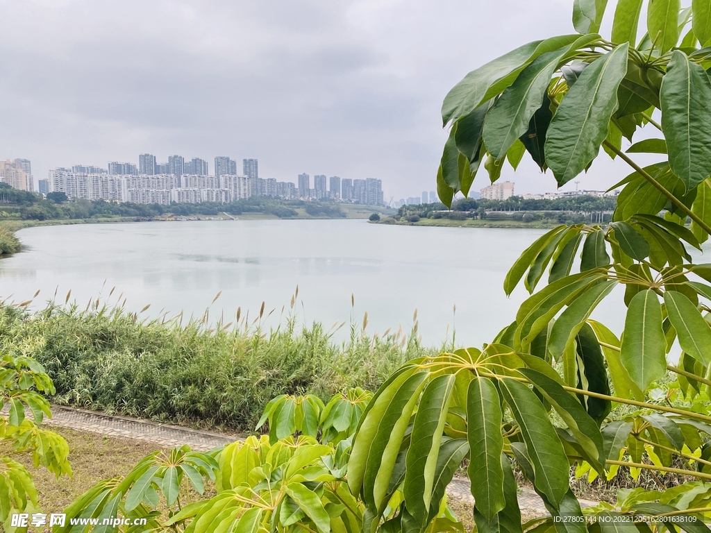 江边风景