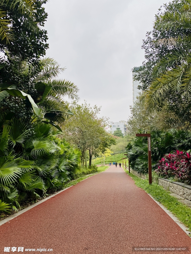 绿茵跑道
