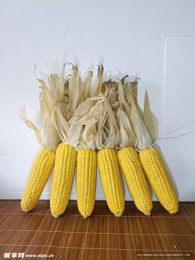玉米