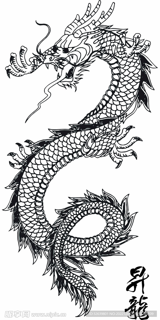 龙