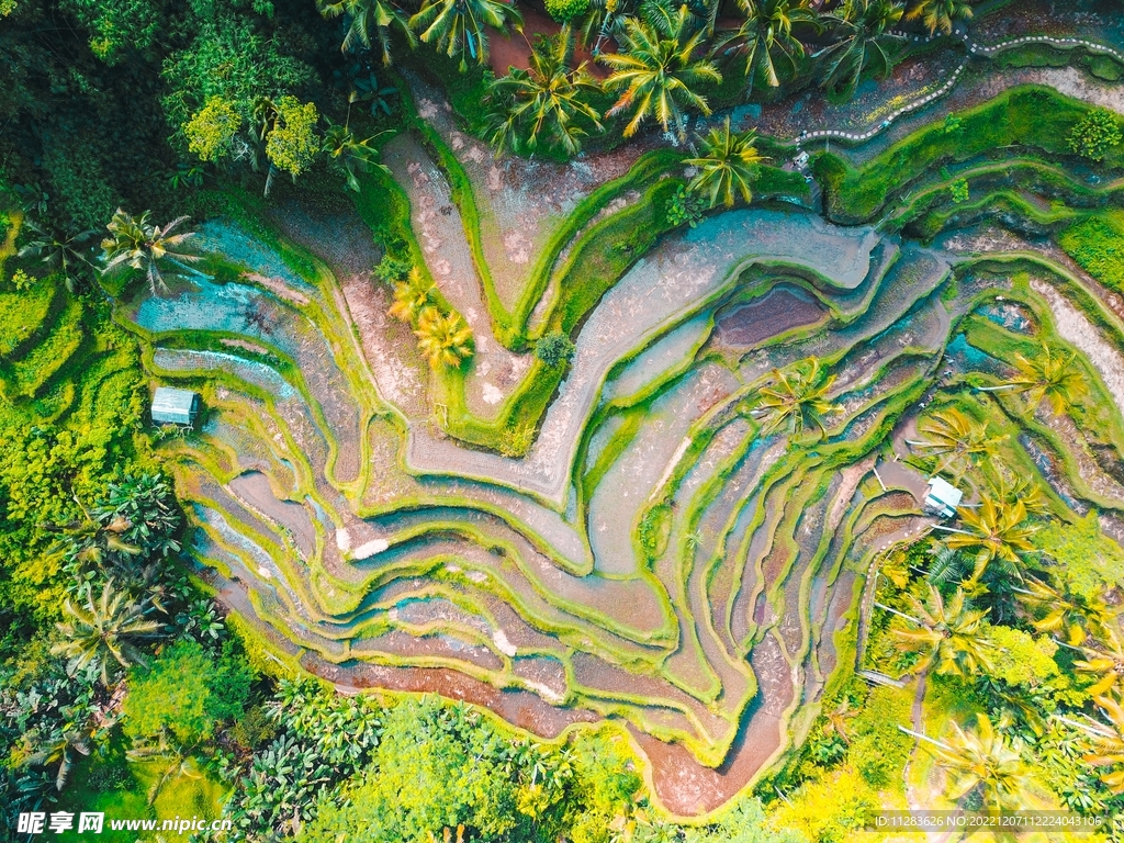 俯视梯田风景