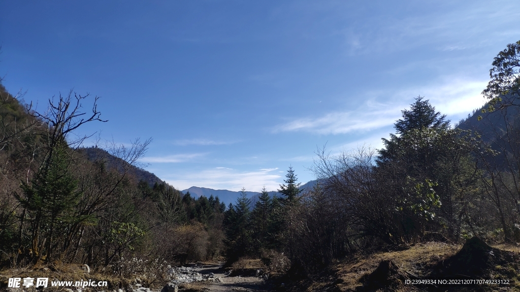 乡村风光