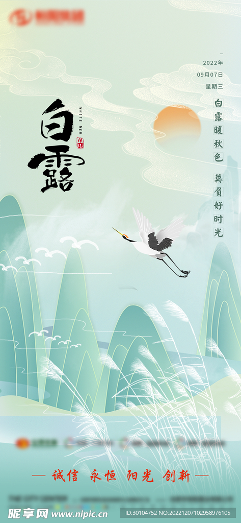 白露飞机稿