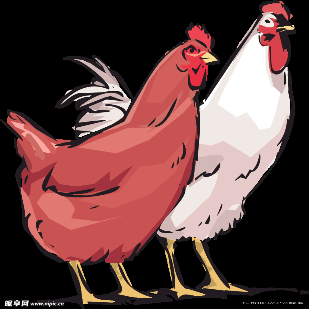 手绘公鸡