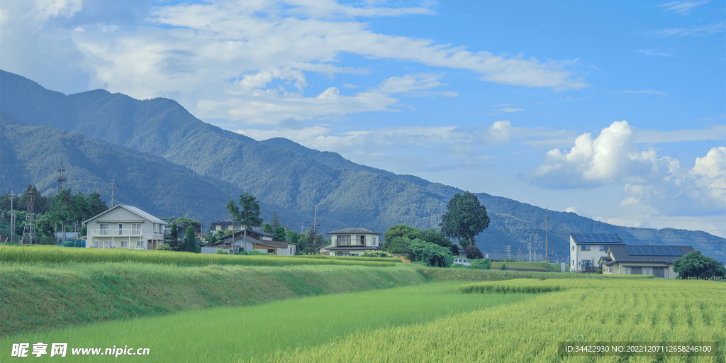 田园风景
