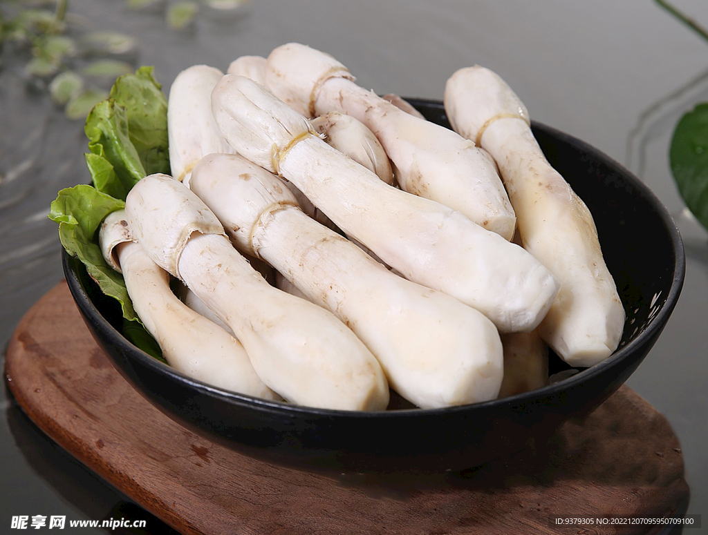 菌菇