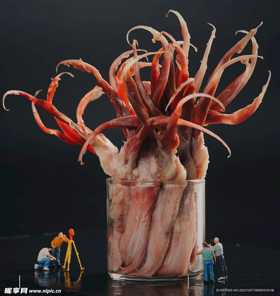 鸭舌