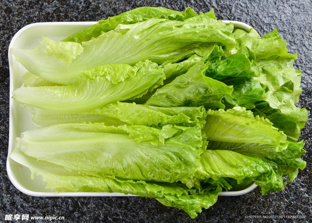 生菜