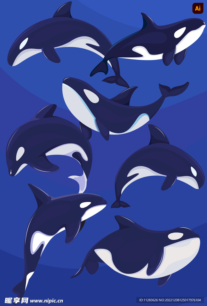 海豚插画