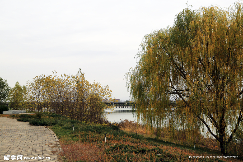 河岸秋景