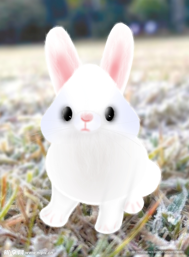 2023兔年可爱小白兔子