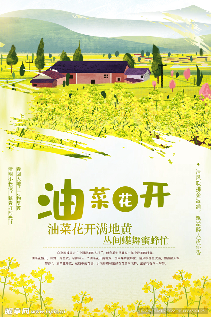 油菜花开海报