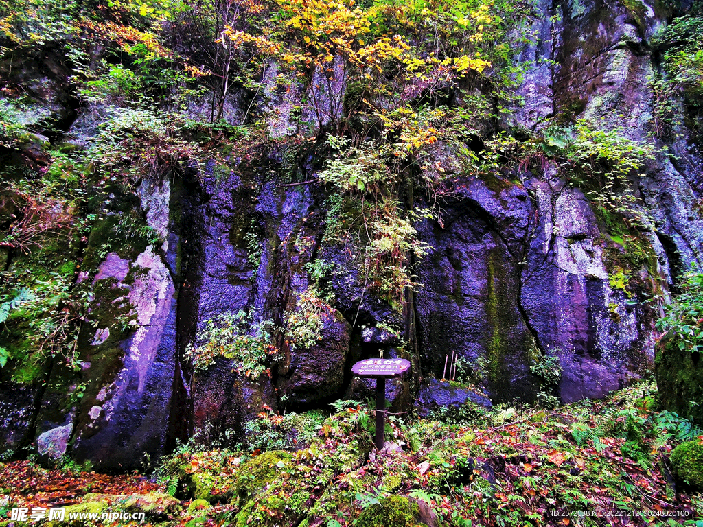 长白山秋色