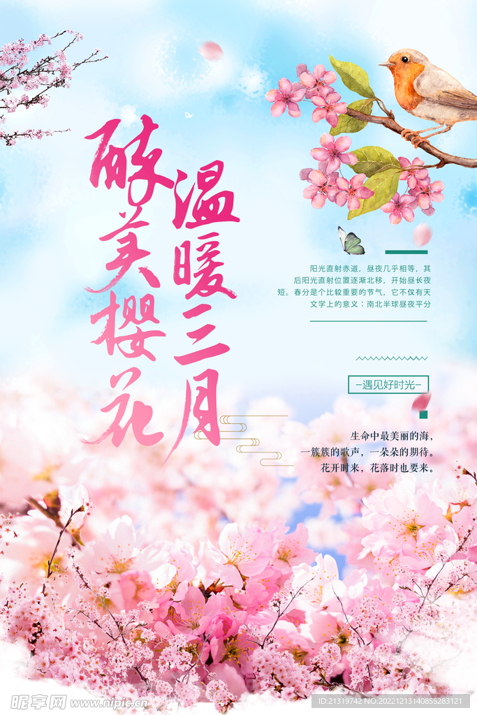 醉美樱花海报