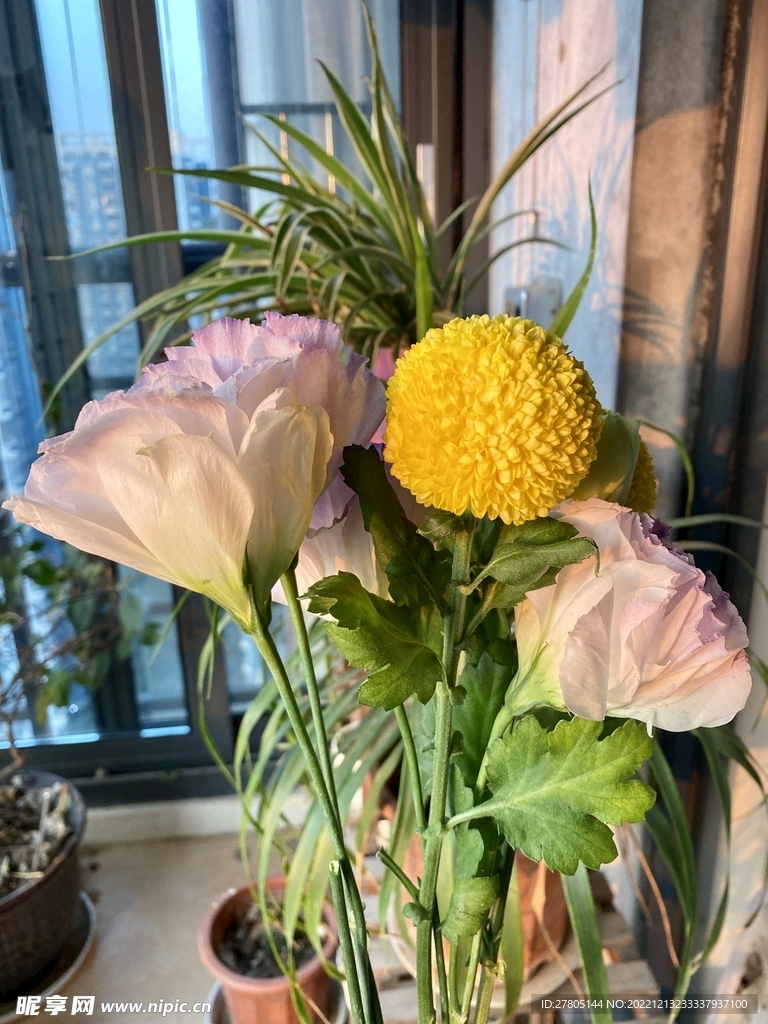 淡紫色鲜花