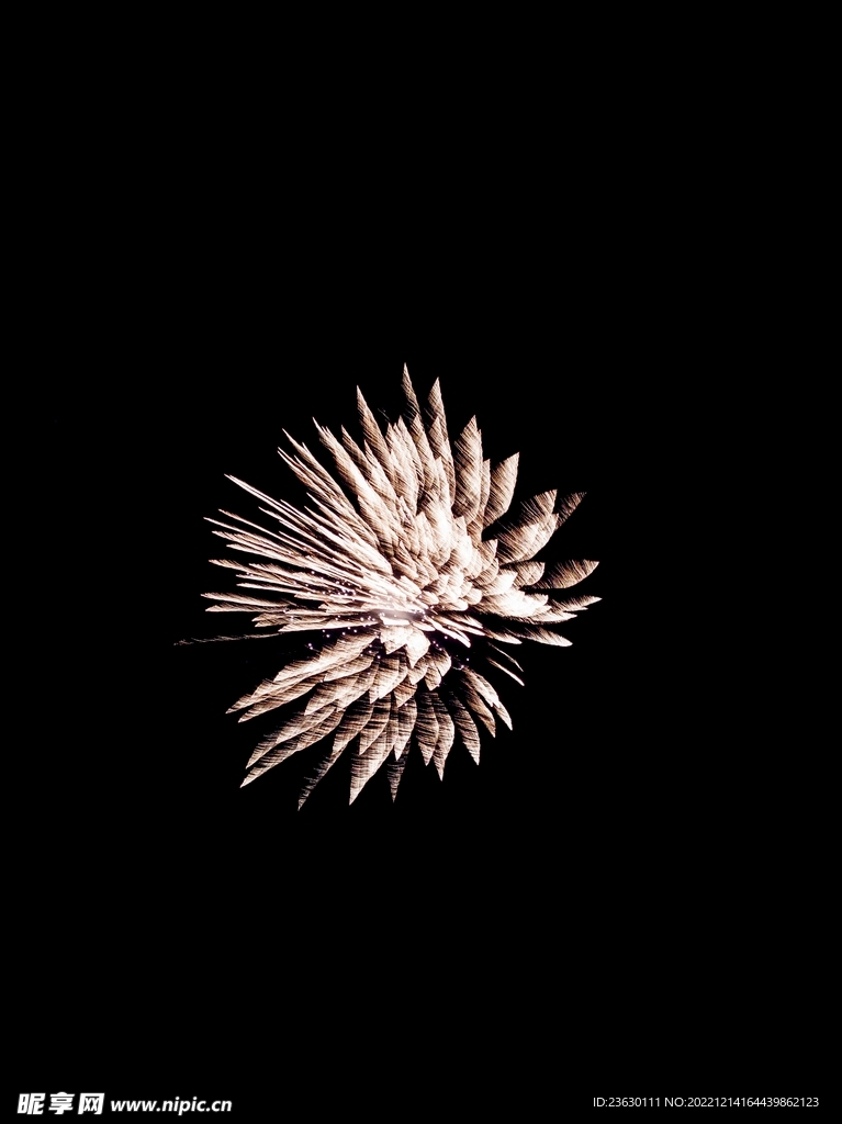 烟花