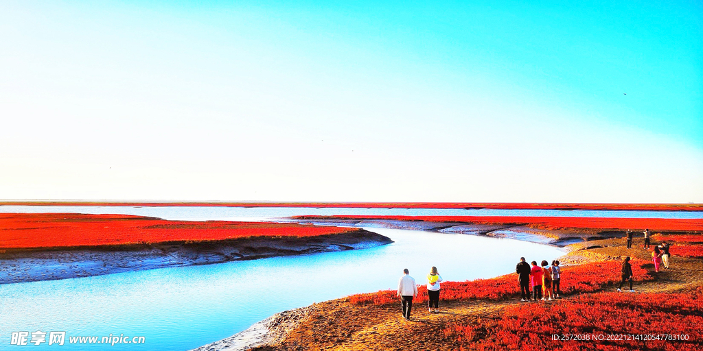 辽宁辽河口红海滩湿地