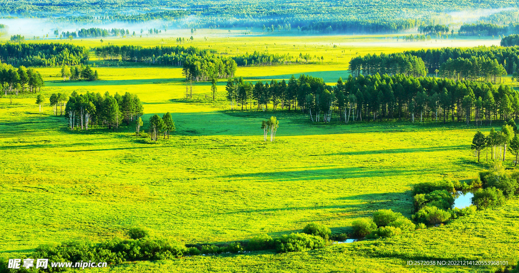 黑龙江南瓮河湿地
