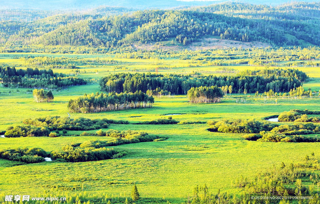 黑龙江南瓮河湿地