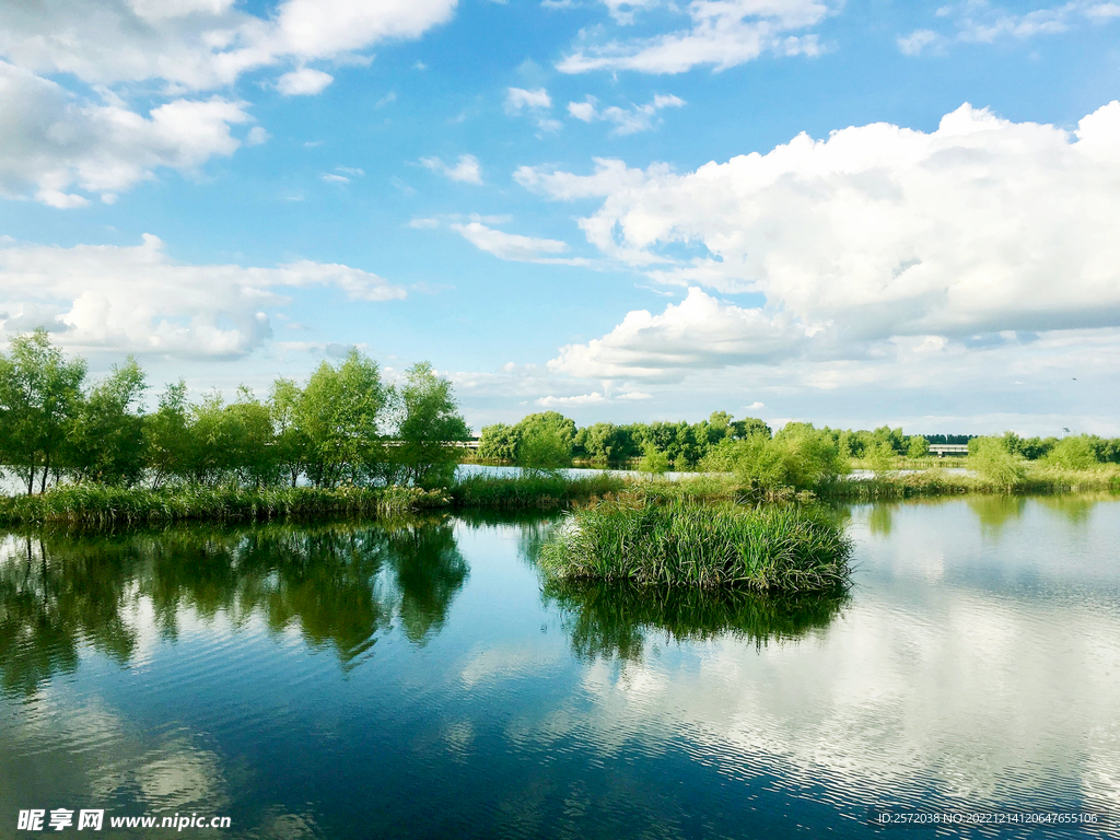 辽宁辽河七星湿地