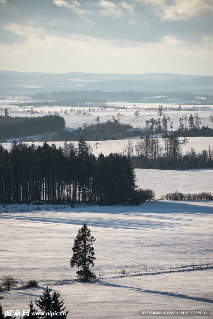 雪景 图片