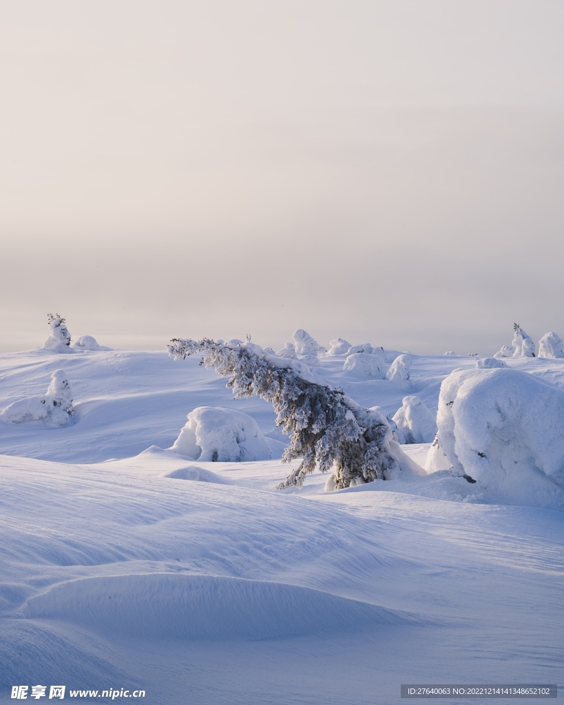 雪景图片