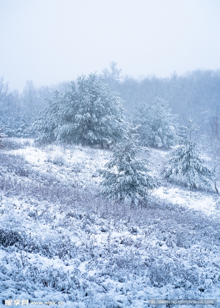 雪景图片