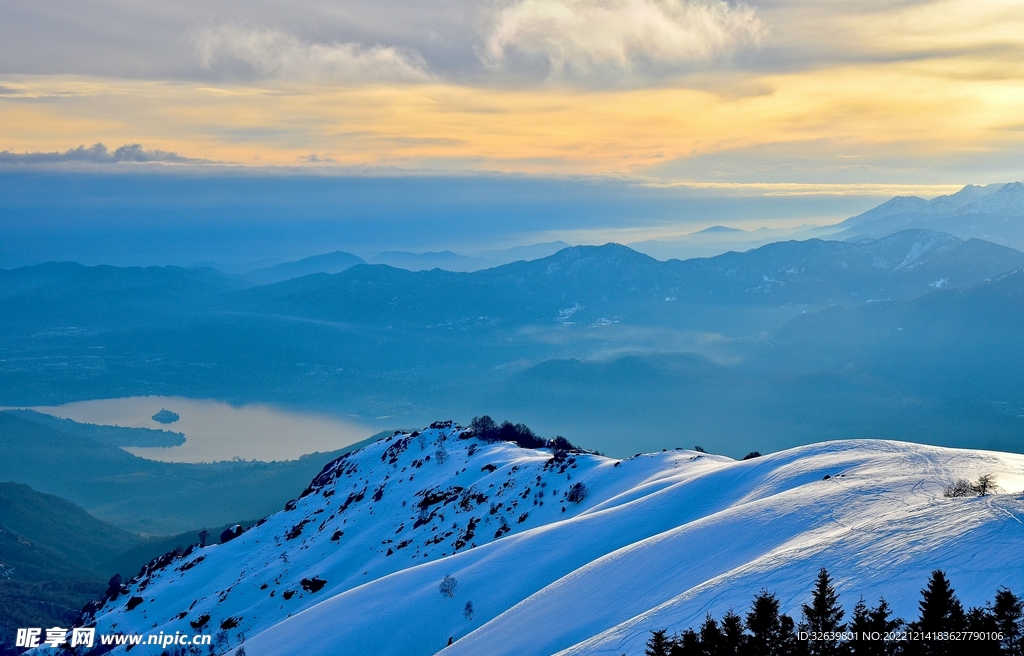 雪山 松树