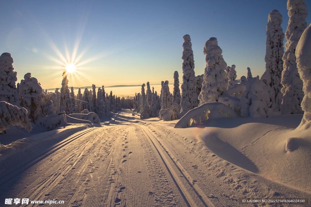 雪山松树夕阳