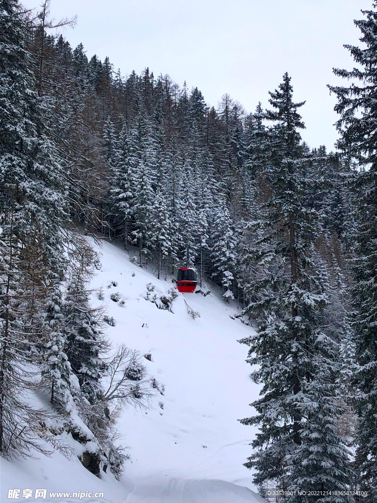 雪山松树缆车