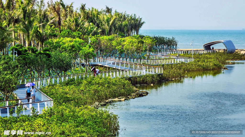 海南海口五源河湿地