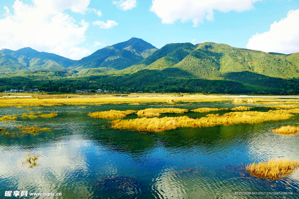 云南腾冲北海湿地