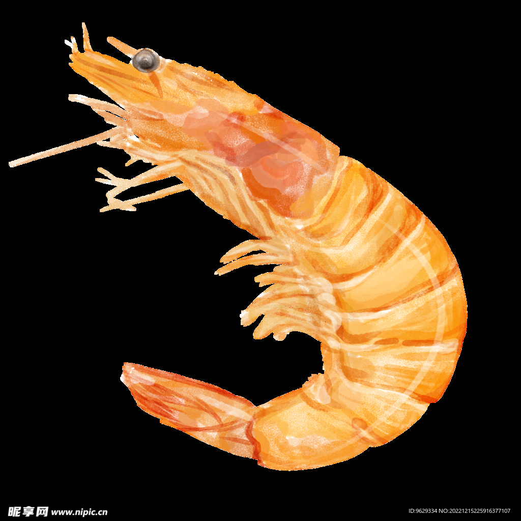 虾