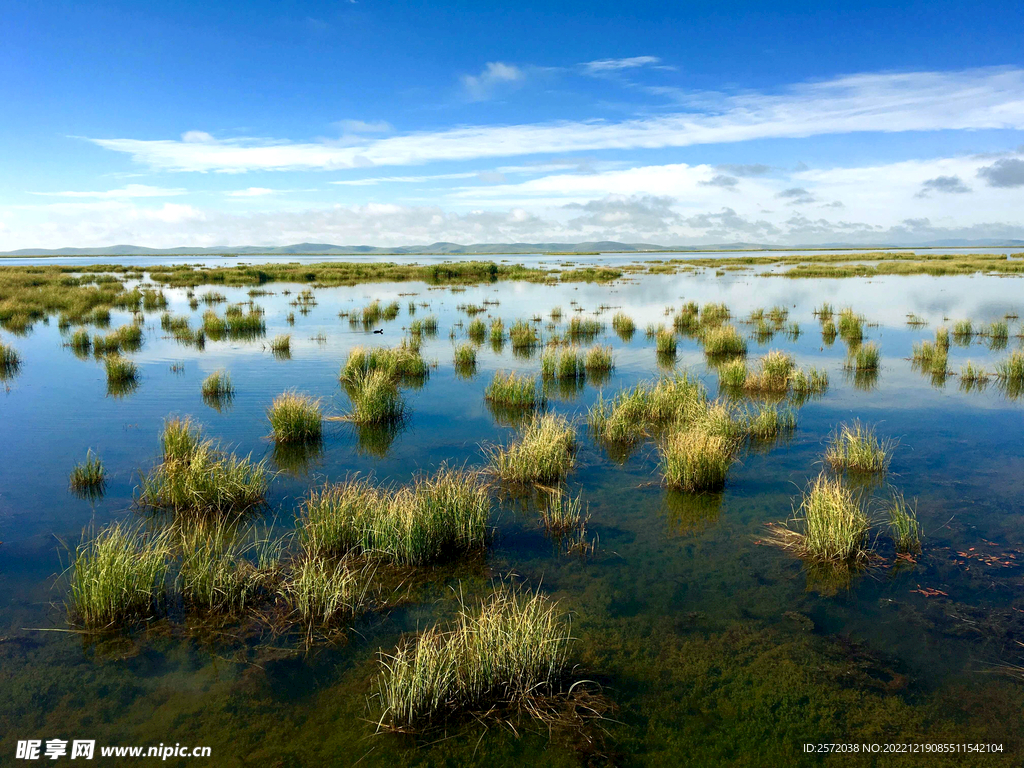 四川若尔盖湿地