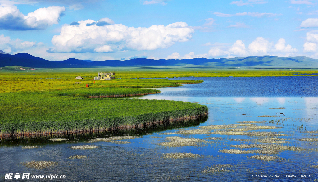 四川若尔盖湿地