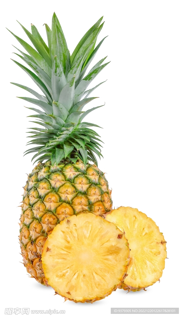 凤梨