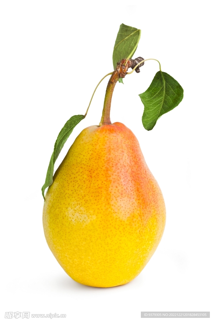 梨