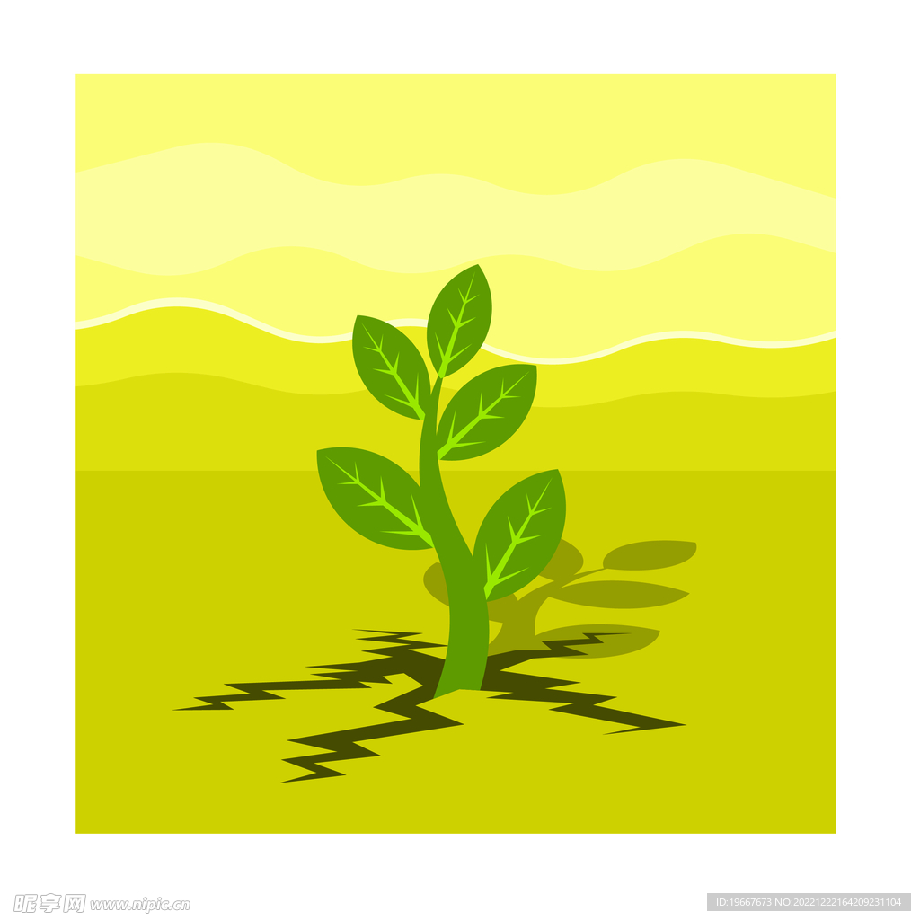 植物  