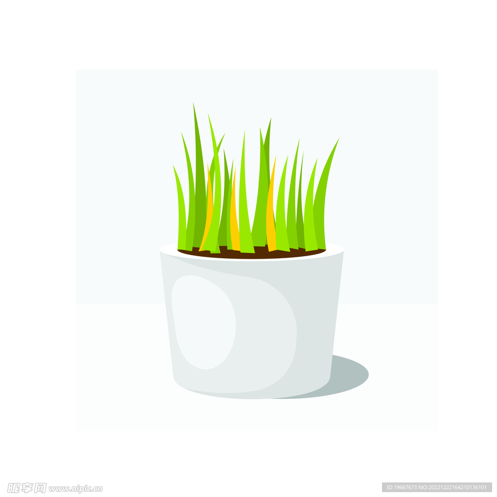 植物 