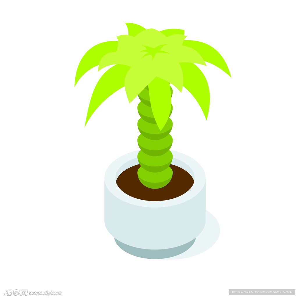植物 