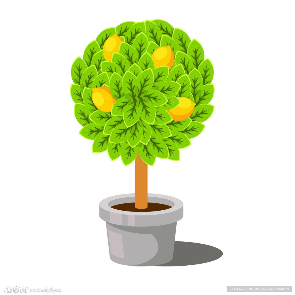 植物 