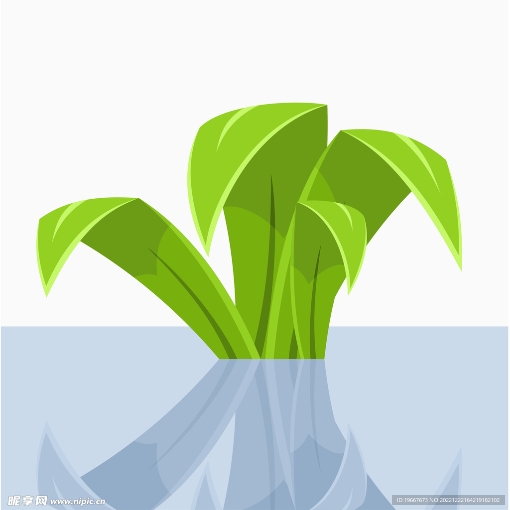 植物 
