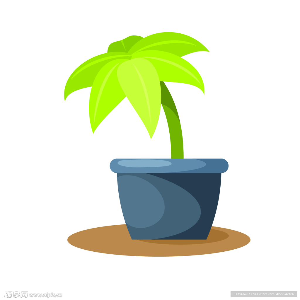 植物  