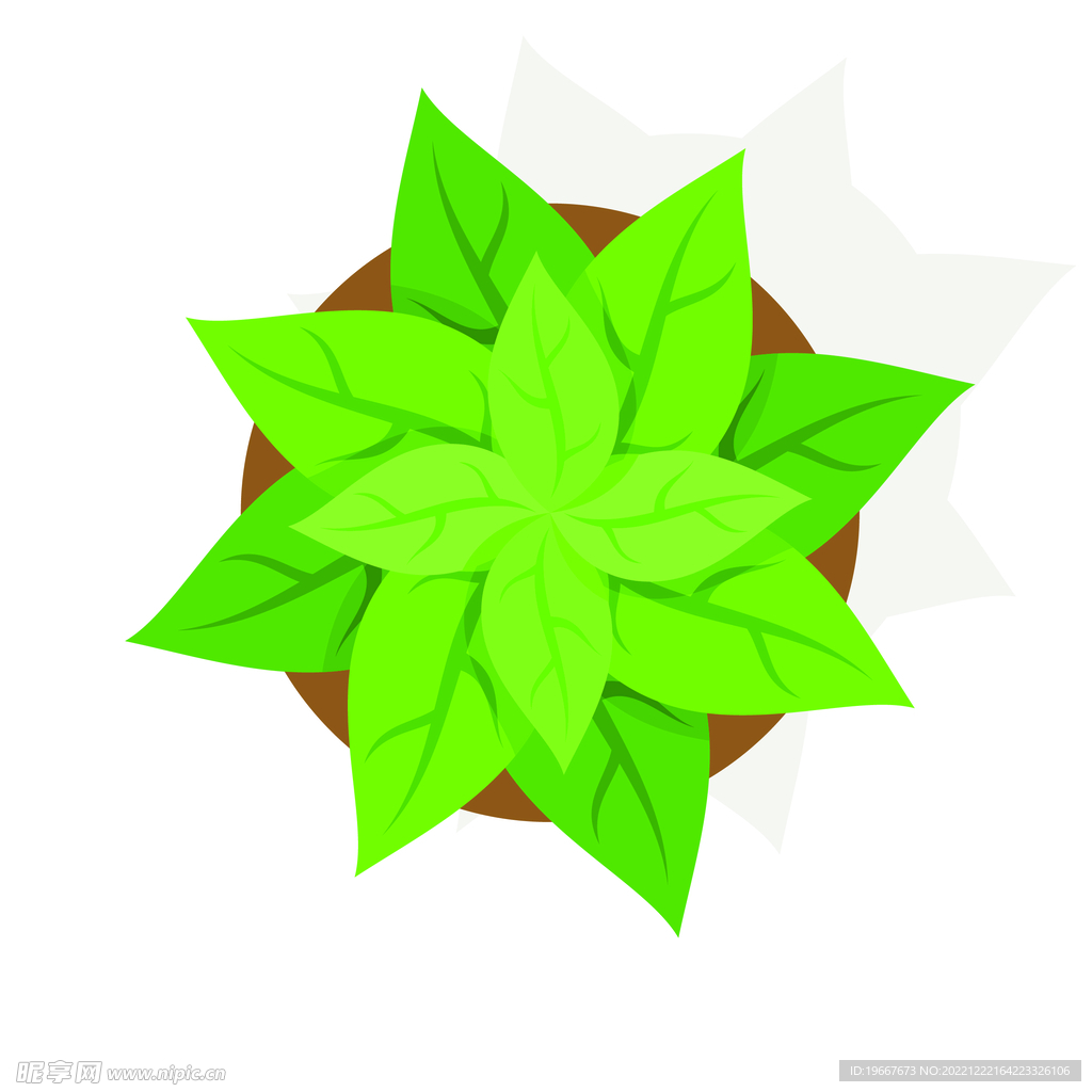 植物 